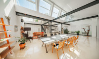 Wohnung - 1060, Wien - Einzigartige 5-Zimmer Loftwohnung mit Terrasse und Werkstatt im 6. Bezirk