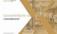 Halle / Lager / Produktion - 4061, Pasching - Großzügige Lagerfläche mit Büro- und Freifläche in Pasching zu vermieten!