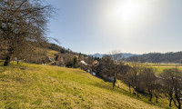 Grundstück - 8121, Prenning - WOW! Einzigartiges Baugrundstück in Prenning bei Deutschfeistritz – 3.700 m², aufteilbar in 7 Parzellen