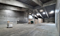 Halle / Lager / Produktion - 4063, Hörsching - ++ RARITÄT ++ Lagerhallen mit 2 Bürohäusern in Bestlage!