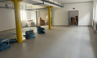 Halle / Lager / Produktion - 1230, Wien - Gewerbeobjekt für staubfreie Produktion 1271m² vollsaniert, 10 Stellplätze, äußerst verkehrsgünstig gelegen, teilbar