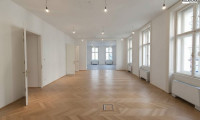 Büro / Praxis - 1010, Wien,Innere Stadt - REPRÄSENTATIVES BÜRO NAHE RATHAUSPLATZ