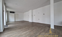Büro / Praxis - 2620, Neunkirchen - Vielfältige Nutzungsmöglichkeit in TOP-Lage von Neunkirchen