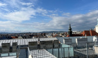 Wohnung - 1060, Wien - 360° Wienblick | Kein Nachbar | Traum-Dachgeschoß