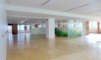 Büro / Praxis - 1030, Wien - Großraumbüro - 498m² - Nähe Rochusmarkt