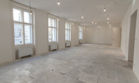 Büro / Praxis - 1010, Wien,Innere Stadt - ERSTBEZUG - Repräsentatives Büro in der Rathausstraße