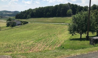 Grundstück - 8380, Grieselstein - Baugrund Nähe Therme Loipersdorf mit herrlichem Ausblick über das grüne Tal