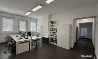 Büro / Praxis - 2751, Steinabrückl - Großzügiges und lichtdurchflutetes Büro mit 68 m² – ideale Lage mit schneller Anbindung
