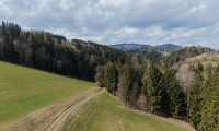 Land und Forstwirtschaft - 8184, Anger - Wald mit Wiese und Zinshaus!