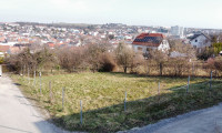 Grundstück - 7210, Mattersburg - kleines Baugrundstück in schöner Lage mit guten Proportionen