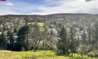 Grundstück - 3400, Klosterneuburg - Traumhaftes Hanggrundstück in Kierling, Klosterneuburg – sonnig & ruhig gelegen  – Ihr Traum vom Eigenheim beginnt hier!
