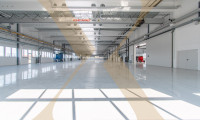 Halle / Lager / Produktion - 4614, Marchtrenk - Gewerbehalle - Neubau  - mit Kränen und optimaler Verkehrsanbindung in Marchtrenk zu verkaufen!