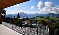 Wohnung - 4813, Altmünster - Erstbezug! Absoluter See- und Gebirgspanoramablick, 4-Zimmer Wohnung mit Bungalow-Feeling über der Nebelgrenze!