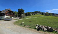 Land und Forstwirtschaft - 8844, Rinegg - Arrondierter Bergbauernbetrieb mit rund 135 ha Eigenjagd im Murauer Hochalpengebiet