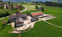 Halle / Lager / Produktion - 8962, Gröbming - Wohnhaus und landwirtschaftliche Hallen mit Entwicklungspotenzial