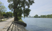 Grundstück - 1220, Wien - E X K L U S I V - Grundstück (Eigengrund) in begehrter Siedlungslage an der Alten Donau - RARE OPPORTUNITY Freehold Plot Old Danube Area