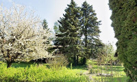 Grundstück - 4060, Leonding - Idyllisches Grundstück in Dorflage