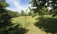 Grundstück - 4224, Wartberg ob der Aist - TOP-Grundstück ohne Bauzwang mit Alpenblick in Südhanglage von Wartberg ob der Aist