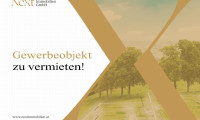 Halle / Lager / Produktion - 4050, Traun - Betriebsliegenschaft in Traun samt Kränen bis zu 10t zu vermieten!