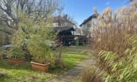 Grundstück - 1230, Wien - Baugrundstück - 561m2 - in ruhiger Wohnlage - Abbruch/Neubau