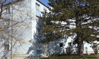 Wohnung - 2490, Ebenfurth - Preisreduktion: Ruhig, grün, kein nahes Gegenüber