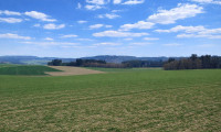 Land und Forstwirtschaft - 4762, St. Willibald - Liegenschaft mit ca. 20 ha landwirtschaftliche Nutzflächen