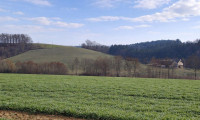 Land und Forstwirtschaft - 4084, St. Agatha - Landwirtschaftliche Nutzflächen in St. Agatha / Waizenkirchen