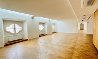 Büro / Praxis - 1010, Wien - Repräsentative Bürofläche im Palais Harrach (1039m²)