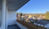 Wohnung - 2500, Baden - 2 ZIMMER WOHNUNG IN BADEN NÄHE STRANDBAD MIT BLICK AM MITTERBERG