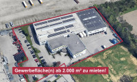 Halle / Lager / Produktion - 4600, Wels - Großzügiges Gewerbe-Areal mit Büro- & Hallenflächen in Wels - ab 2.000 m² zu mieten