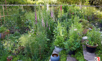Haus - 5020, Salzburg - K3! Familienparadies mit weitläufiger Gartenoase in exklusiver Salzburger Stadtlage! Mehrfamilienhaus in sonniger Ruhelage mit Grün- und Bergblick!