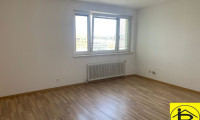 Wohnung - 3100, St. Pölten - 15517 Neues Badezimmer, sehr gepflegt!