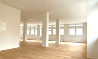 Büro / Praxis - 1130, Wien,Hietzing - TOP LAGE: MODERNE BÜROFLÄCHEN IM EKAZENT HIETZING