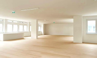 Büro / Praxis - 1130, Wien,Hietzing - TOP Lage: Moderne Büroflächen im Zentrum von Hietzing