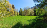 Grundstück - 4644, Scharnstein - Traumhaftes, sonniges Grundstück(e) mit altem Baumbestand mitten im Almtal, in erhöhter, idyllischer Natur-Ruhelage!