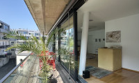 Wohnung - 8020, Graz - 128m² ruhige - coole Stadtwohnung oder Praxis/Büro mit 33m² großem Süd-Westbalkon Nähe Kunsthaus, 2 TG Plätze optional