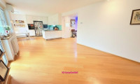 Wohnung - 1190, Wien - Schicke Wohnung mit Loggia - Hugo-Wolf-Park