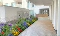 Wohnung - 1160, Wien - Schöne 2 Zimmer Terrassenwohnung mit Terrasse in Ottakring