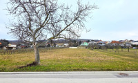Grundstück - 7083, Purbach am Neusiedler See - Baugrundstück mit Fernblick ohne Bauzwang