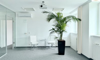 Büro / Praxis - 1050, Wien,Margareten - Top-Büro in Bestlage – repräsentativ, barrierefrei & sofort bezugsbereit