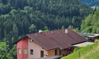 Haus - 9554, Agsdorf - ruhiges 2 Fam. Wohnhaus + 1 HA Grund LW + Quelle in Feldkirchen / St. Urban : 5 Zimmer, Garten, Balkone, PV, tolle Aussicht ! 1 HA LW Wiese für Tierhaltung Pferde, mit Stall für Schafe, Ziegen, Hühner