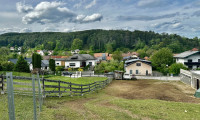 Grundstück - 2732, Würflach - Ruhe, Natur & Weitblick – Exklusives Grundstück in begehrter Wohnlage