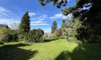 Grundstück - 3413, Hintersdorf - Provisionsfrei - Traumhaftes Villenbaugrundstück für exklusives Wohnprojekt - mit herrlichem Altbaumbestand