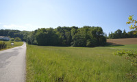 Grundstück - 7543, Limbach - Großes Baugrundstück 1406m² in Limbach, Burgenland – Eigenheim zum Top-Preis!