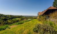 Land und Forstwirtschaft - 2213, Zgornja Velka - Ihr idyllischer Rückzugsort mit Weitblick und großem Entwicklungspotenzial in Apače / Slowenien!