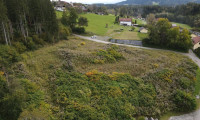 Grundstück - 9560, Feldkirchen in Kärnten - Baugründe in toller Lage