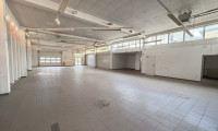 Halle / Lager / Produktion - 3100, St. Pölten - Lager I St. Pölten I 401m² I Tor I nähe Bahnhof