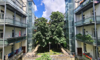 Wohnung - 1150, Wien,Rudolfsheim-Fünfhaus - Charmanter Altbau | U3 Johnstraße | Grünblick