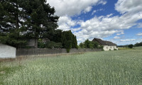 Land und Forstwirtschaft - 3542, Gföhl - 41.600 QM - Einzigartiges Anwesen mit Wohnhaus, Stallungen und großem Entwicklungspotenzial