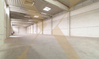 Halle / Lager / Produktion - 4600, Wels - Optimale Betriebsliegenschaft mit Lagerhallen inkl. Rolltore zu vermieten!